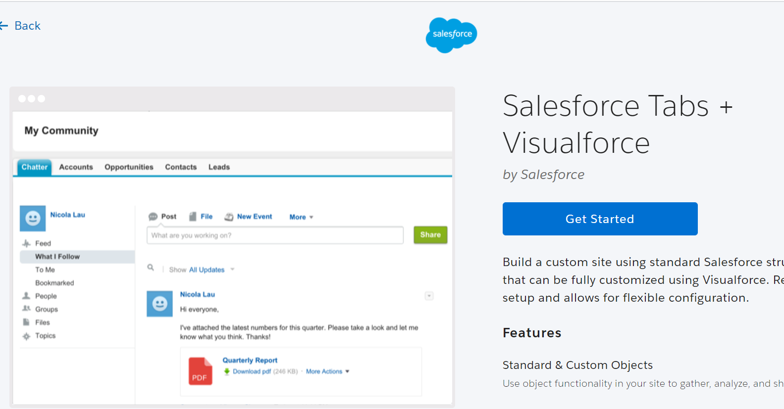 Salesforce Tabs and Visualforce