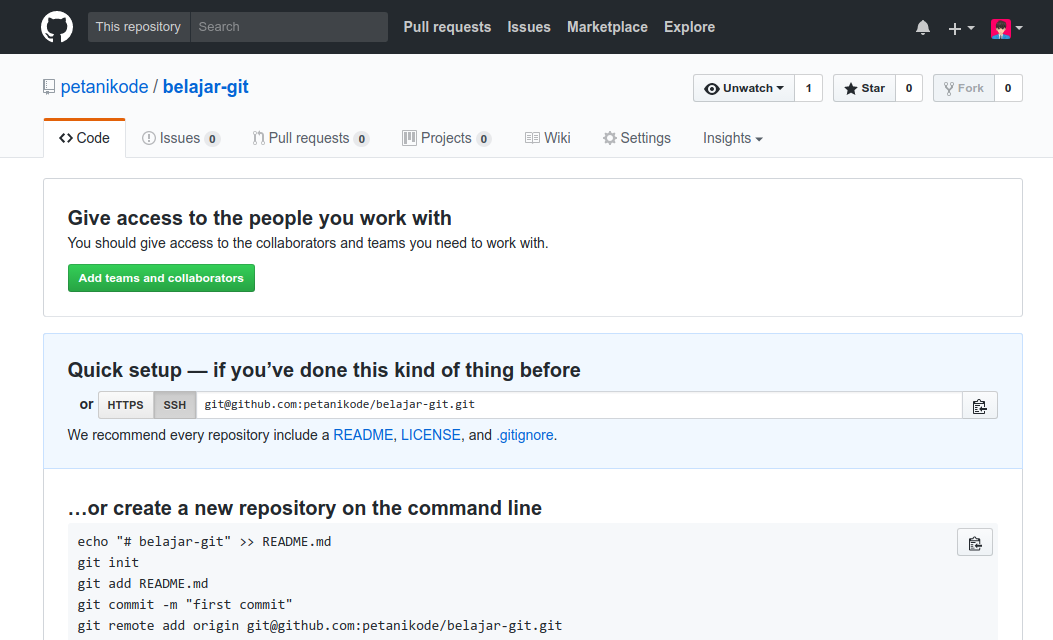 Repository Kosong di Github