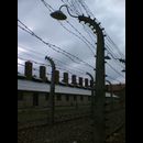 Auschwitz 13