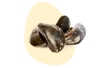 Molluscs are listed as one of the EU 14 Major Food Allergens, Erudus lets you easily see if a product contains this or any of the allergen ingredients