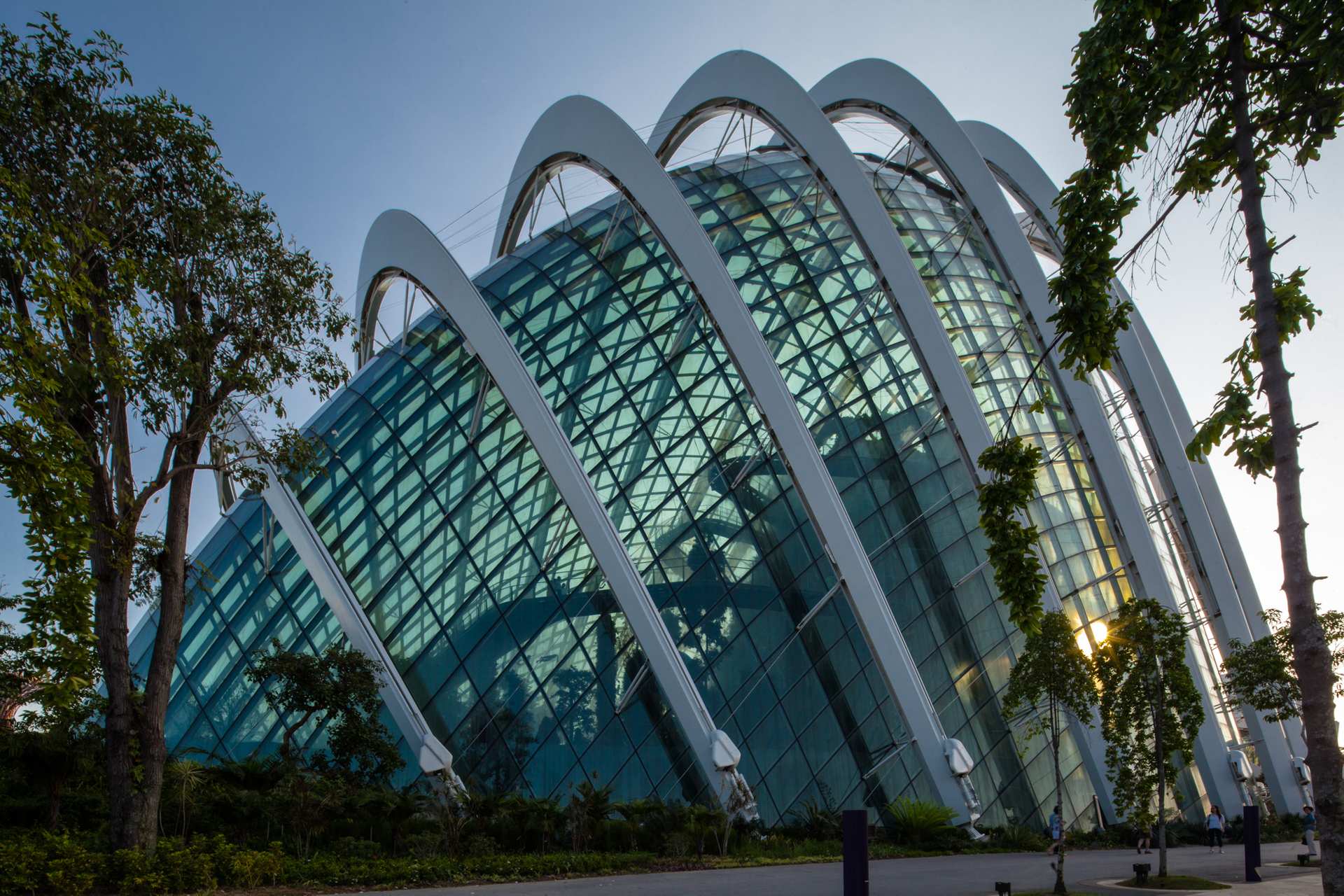 Garden by the bay