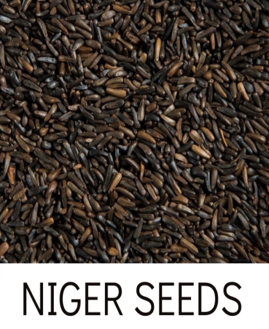 Niger seeds