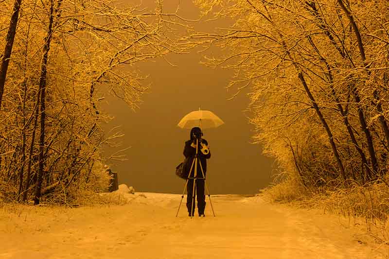 Molly standing in the snow in front of her camera mounted on a tripod with an umbrella attached to it. Snow covered trees are either side and everything is tinted yellow.