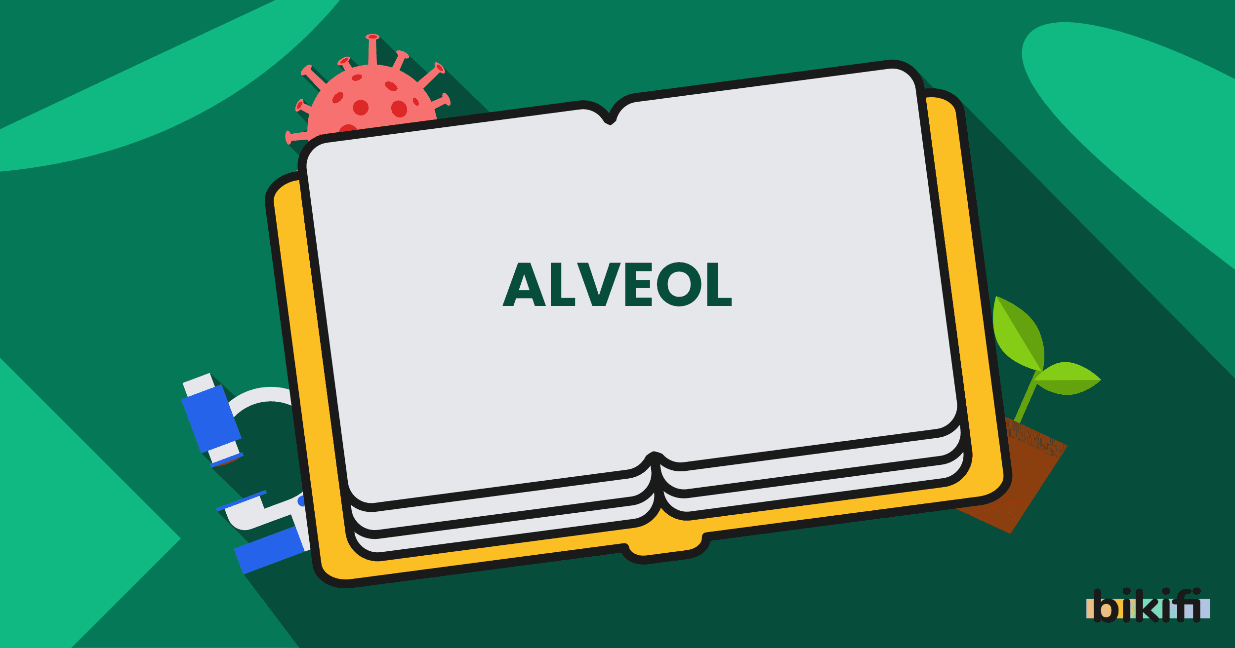 Alveol