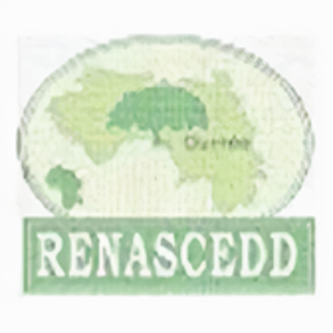 Renascedd logo