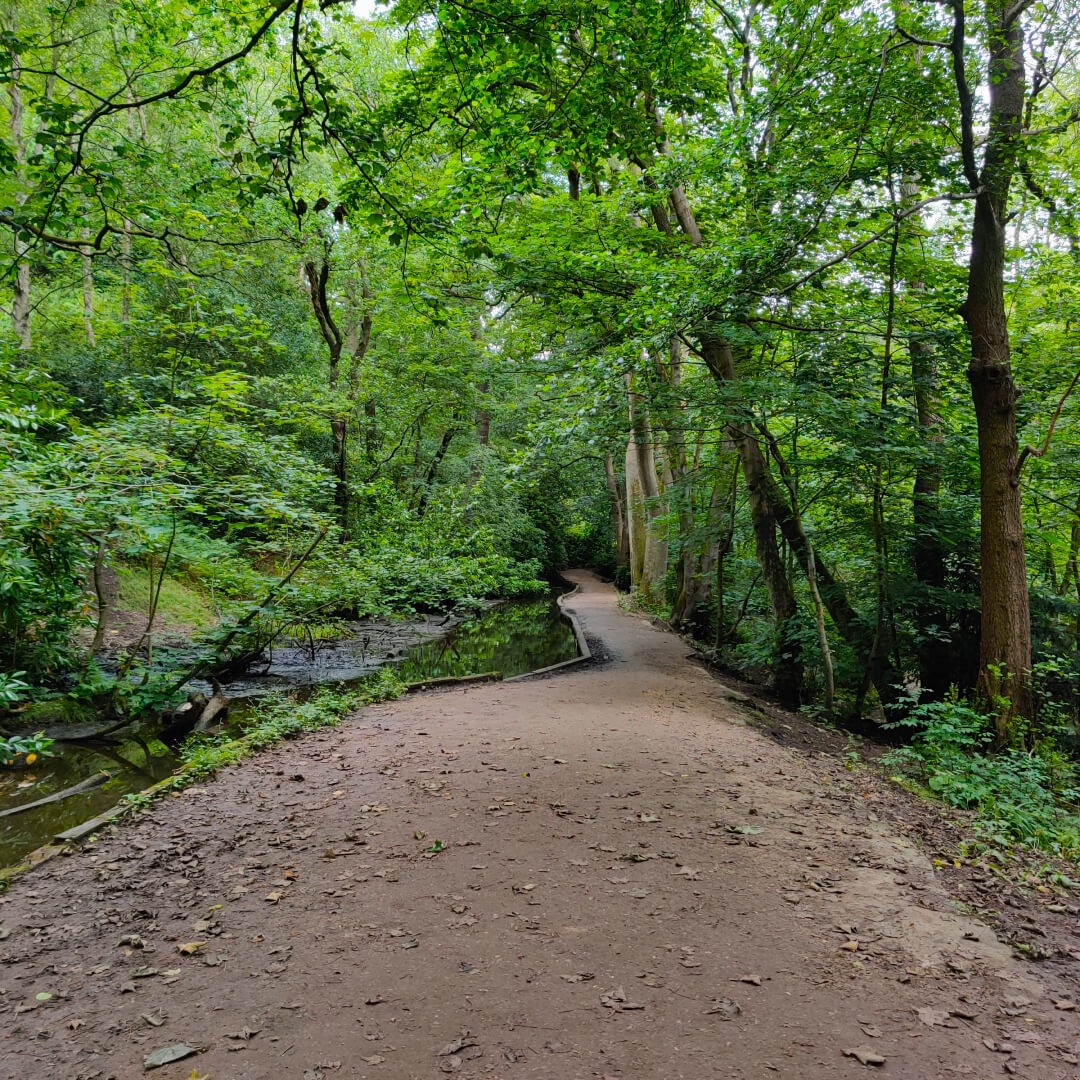 Meanwood Valley Local Nature Reserve