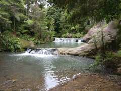 Mokoroa Stream rapids