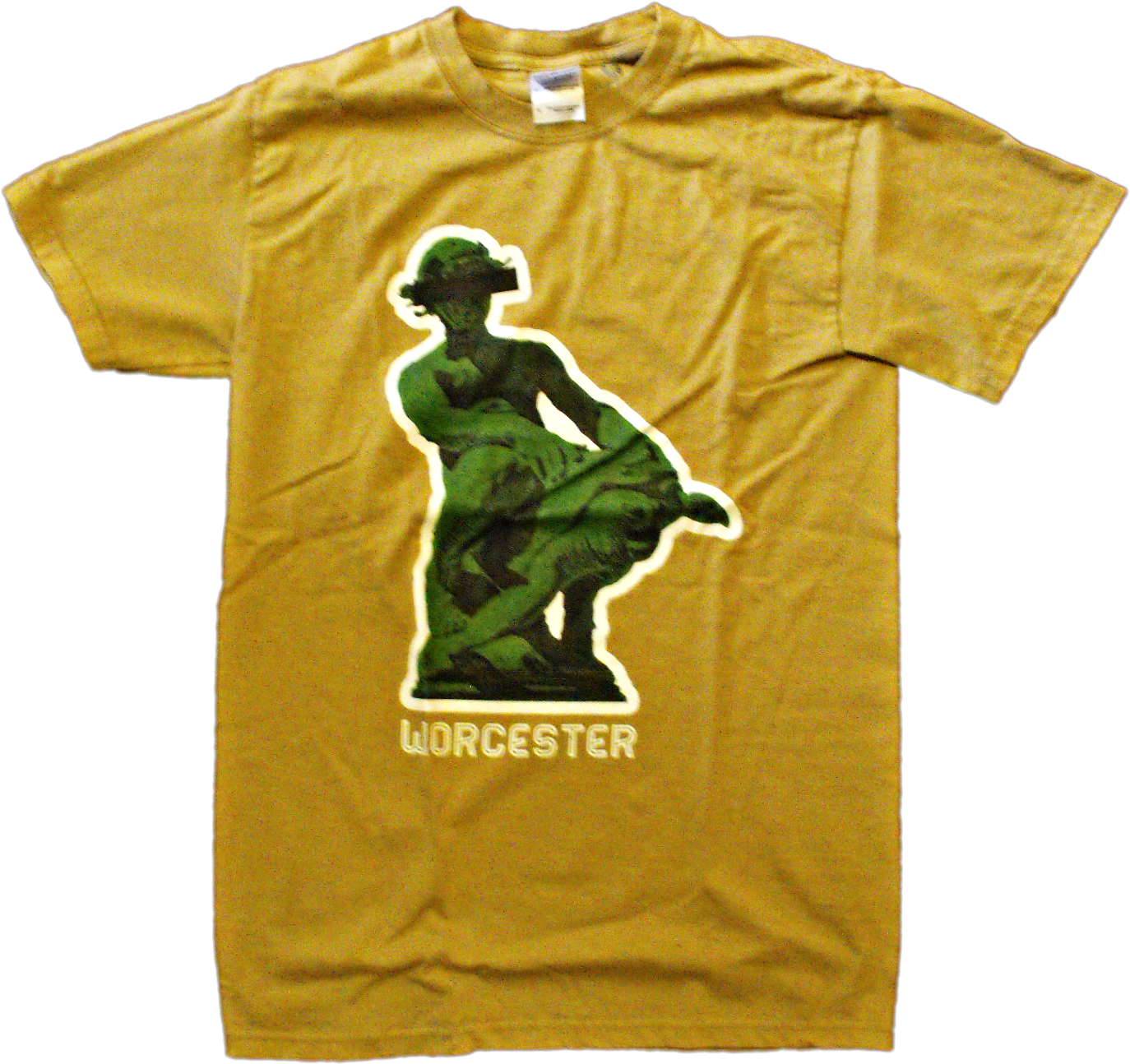 Worcester Turtle Boy T-Shirt