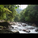 Colombia Lostcity Rivers 6