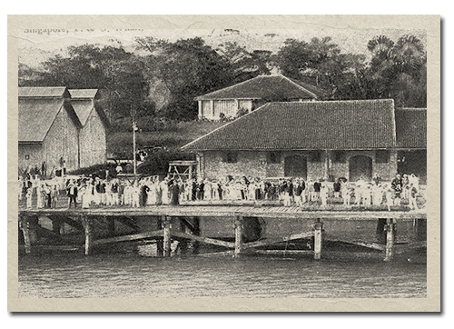 P&O Wharf at New Harbour, c. 1900