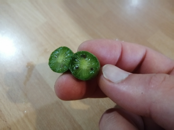 A kiwai fruit cut in half