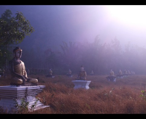 Burma Morning Buddhas 13