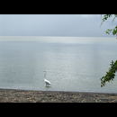 Nic Lake Ometeppe 9