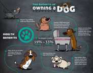 Benefits of Dog Ownership Infographic - Kurgo Dog Products