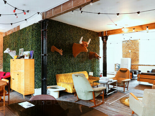 Cooky workspace containing wall manufactured wall mounted animal decoration and assorted padded seating Google Meet background