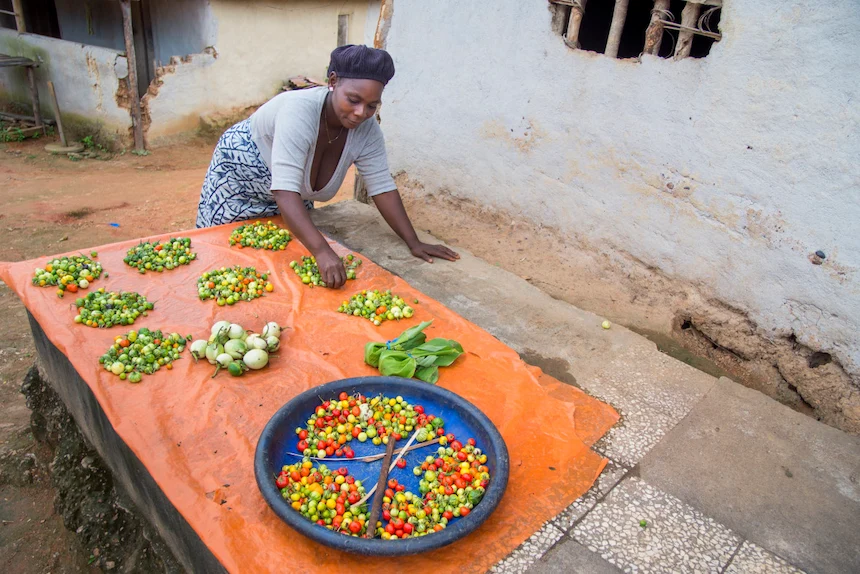 A Liberian farmer with some of her harvest