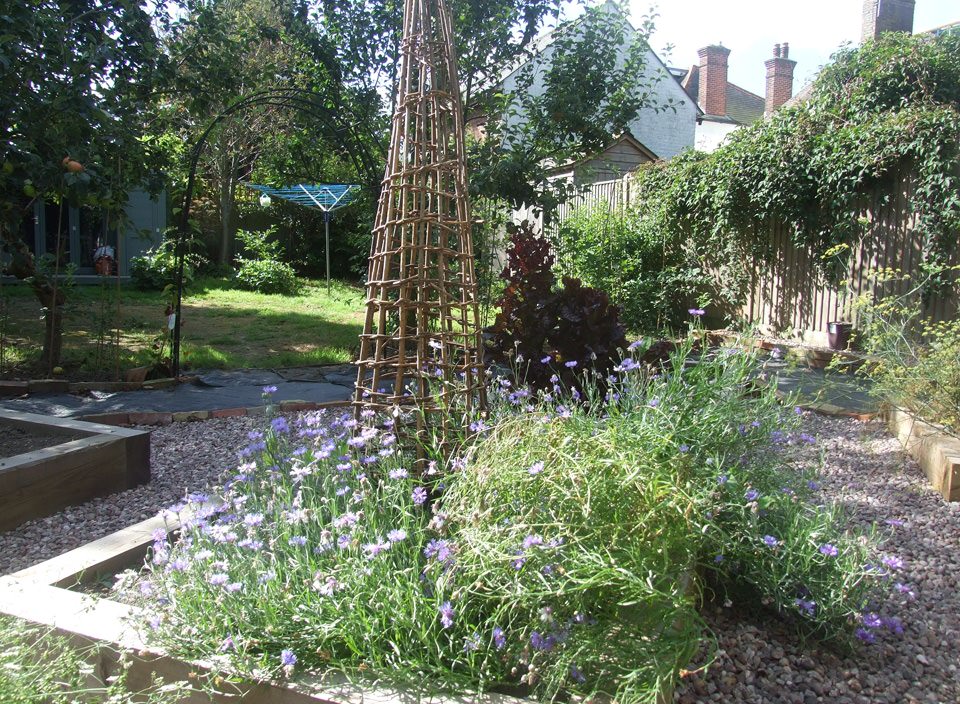 Appledore Garden Design