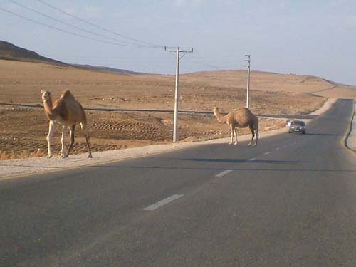 desert highway 2