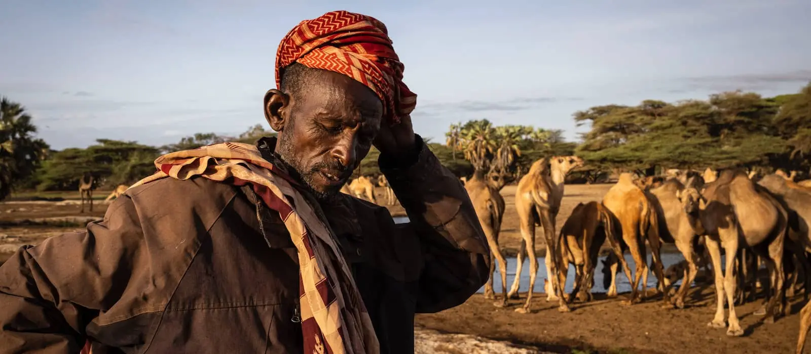 Molu Elema, 56, with his camels near North Horr in Marsabit.