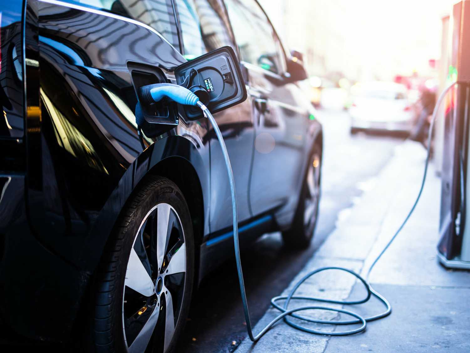 Kiwis Hold Off Buying Electric Vehicles
