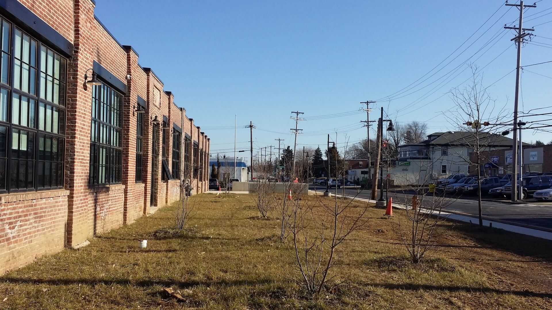 small thin trees beginning to grow in front of the brick building