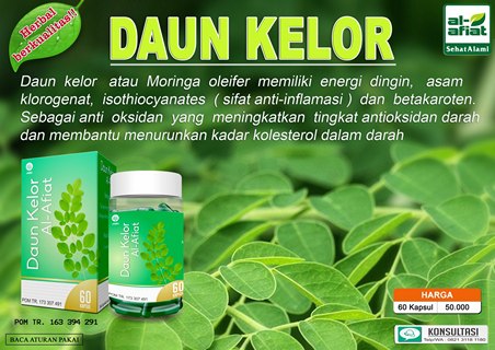 Daun Kelor AlAfiat