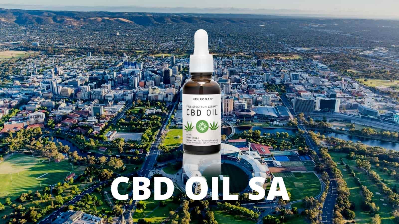 Is CBD Oil Legal in SA?