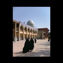 Shiraz city 19