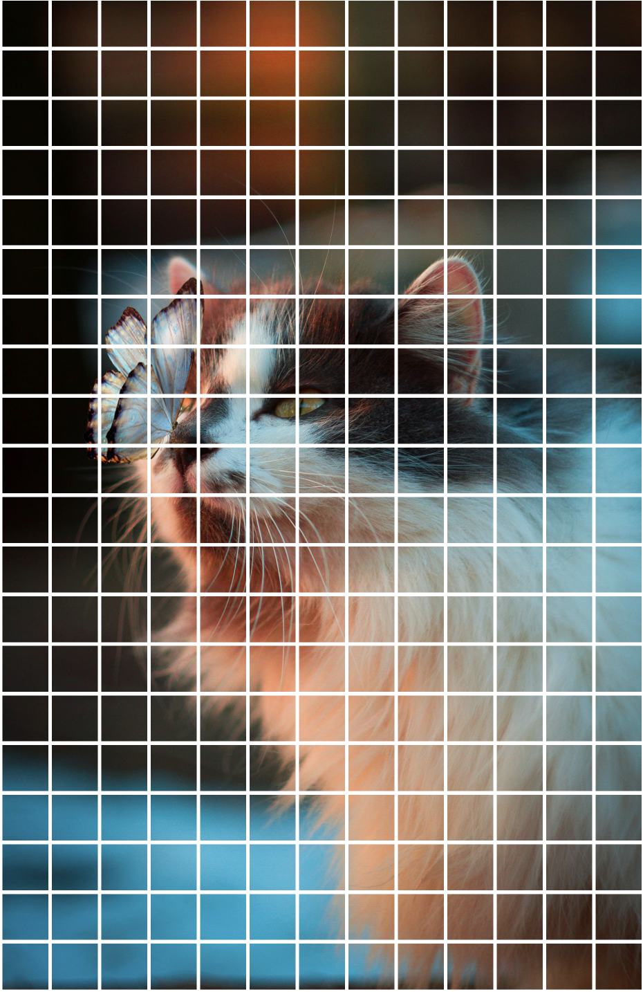 horizontal patches applied to cat image