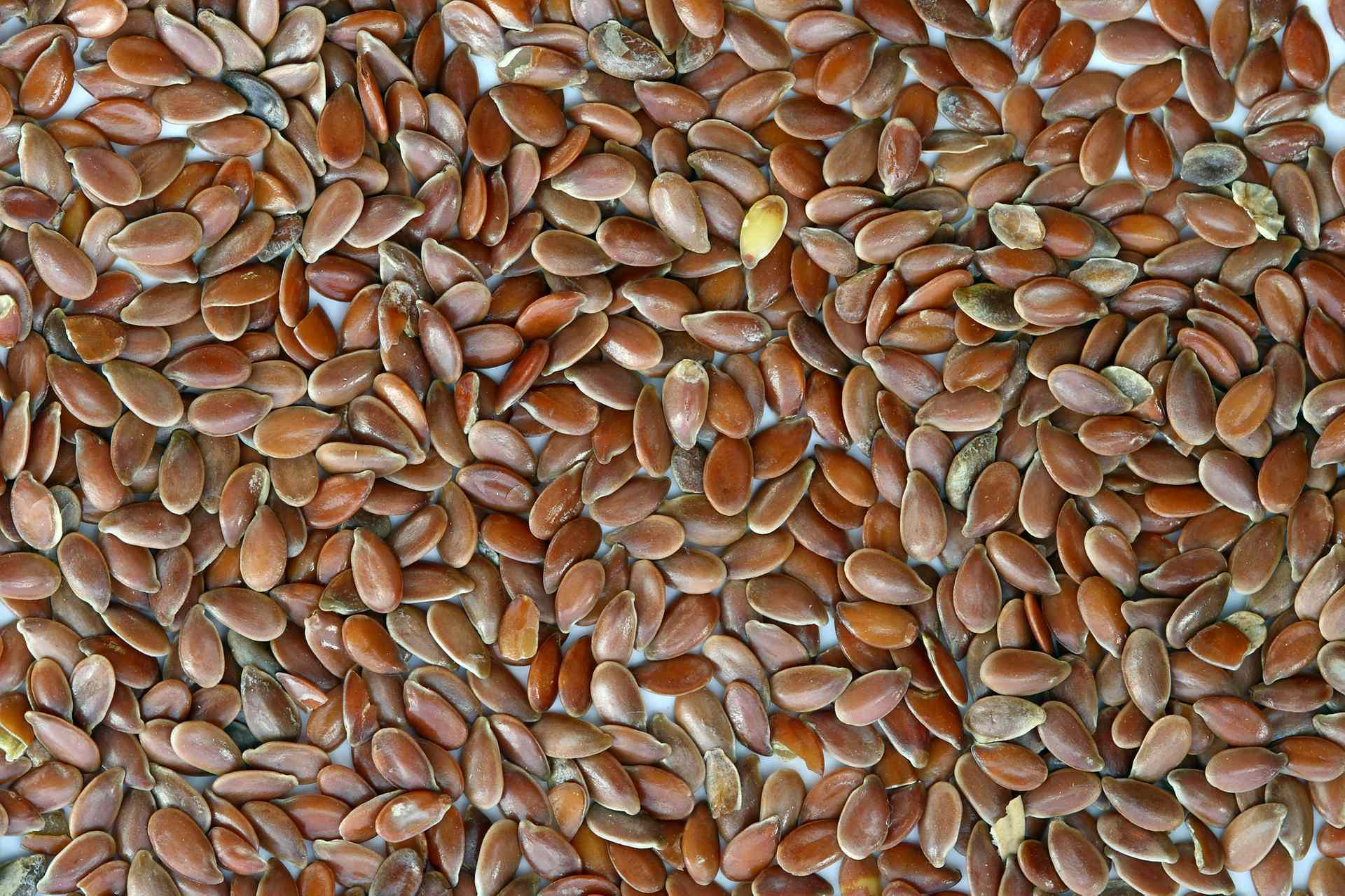 Flax seeds