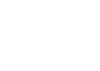 bird icon
