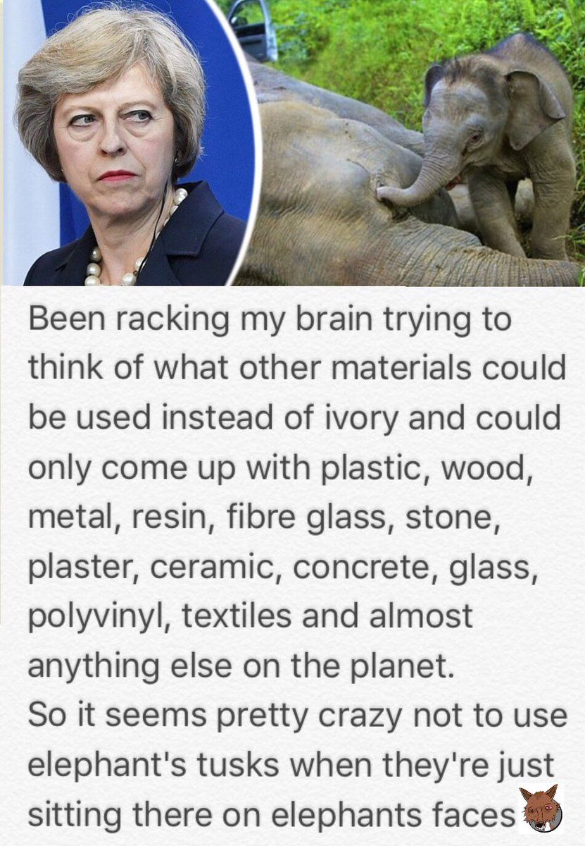 oh my god twitter doesn’t include alt text from images in their API