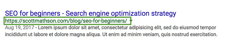 SEO Beginner's Guide SEO Beginner's Guide - Semantic URL in Google SERP