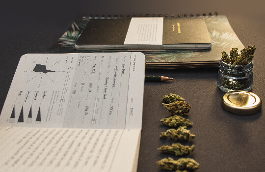 Categorizing Strains Categorizing Strains