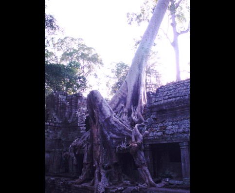 Cambodia Jungle Ruins 24