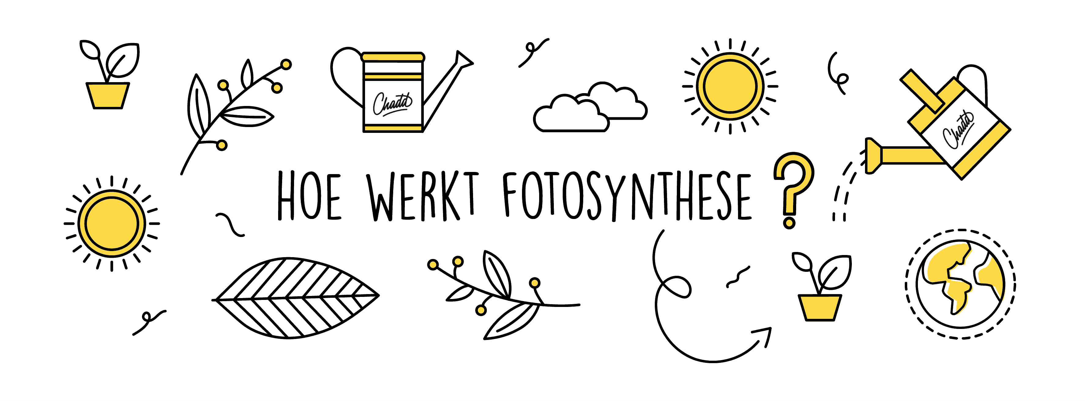 Hoe werkt fotosynthese