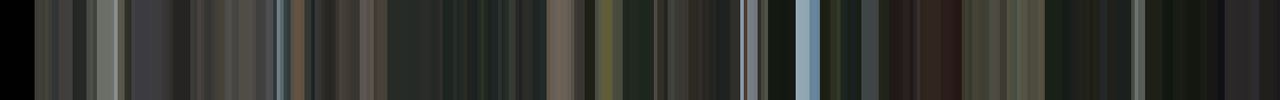 A barcode of colors from the vid Enough