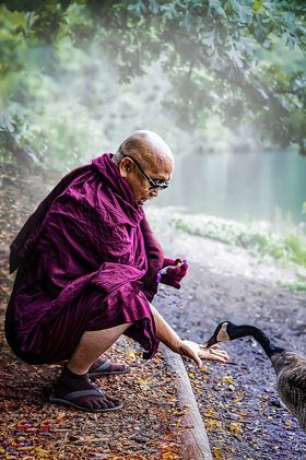 Monk squatting