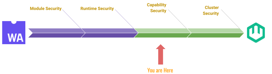 capability security