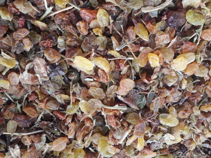 مکنده