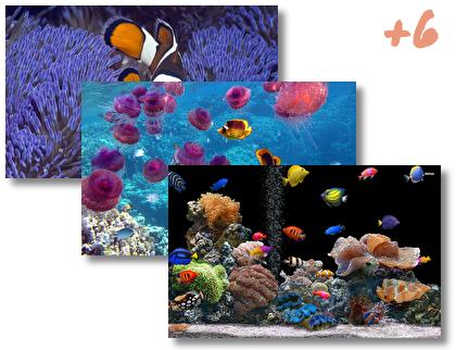 Tropical Fish theme pack