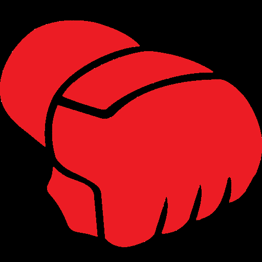 An image of an MMA glove