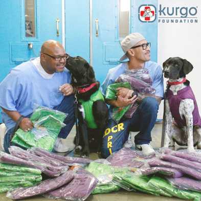 The Kurgo Foundation: Supporting Dogs and Humans by Giving Back