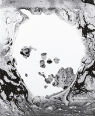 A moon shaped pool by Radiohead