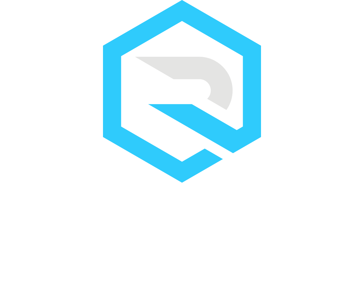 Rapptr Labs logo