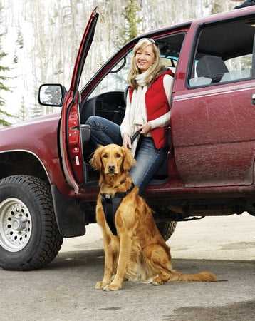 kurgo harness instructions