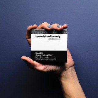 terrorists of beauty Cover