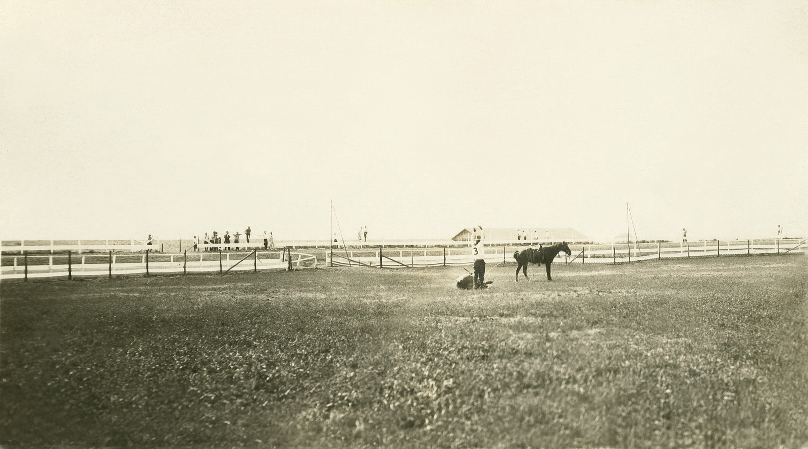 Hale, as a cowboy, competing in a roping contest.