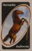 Horses Uno (Horseplay Card)