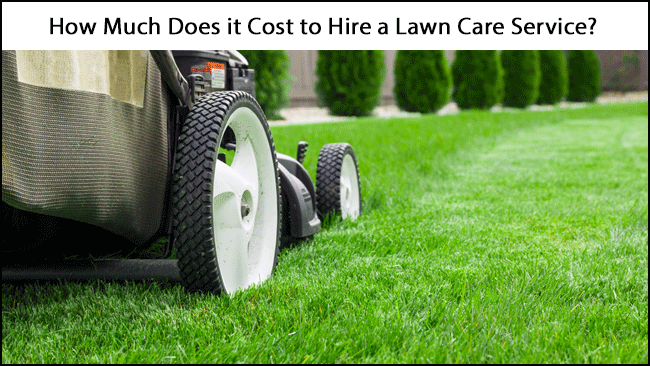 Cost to Hire a Lawn Care Service